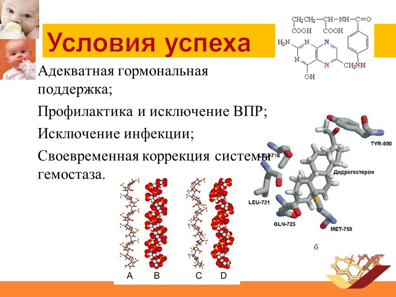 Условия успеха Адекватная гормональная поддержка; Профилактика и исключение ВПР; Исключение инфекции; Своевременная коррекция системы